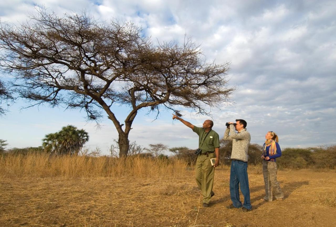 Severin Safari Camp Tsavo West National Park Extérieur photo